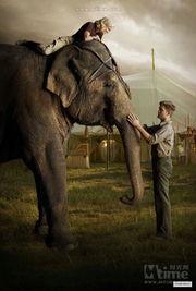 大象的眼泪 在线观看,探寻动物情感世界的感人之旅  第2张