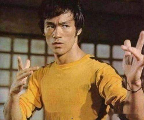 李小龙精彩爆料视频大全,精彩爆料视频大全集锦
